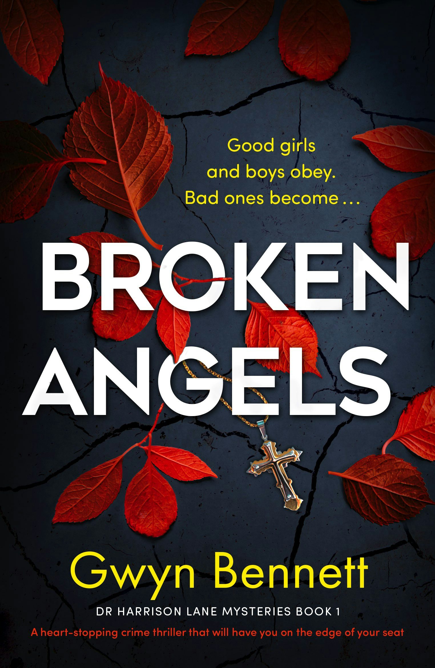 Book cover image for Broken Angels ISBN: 9781805080305